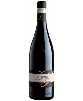 GIUSEPPE Amarone DOCG Classico "Vigneti Vallata di Marano" 2016