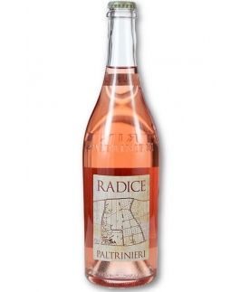 PALTRINIERI GIANFRANCO Radice Sorbara Rose DOC 2020