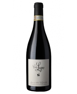 PALADIN CASA LUPO Amarone della Valpolicella DOCG 2018