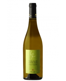 PIEVALTA Verdicchio dei CdJ Classico Superiore DOC 2020